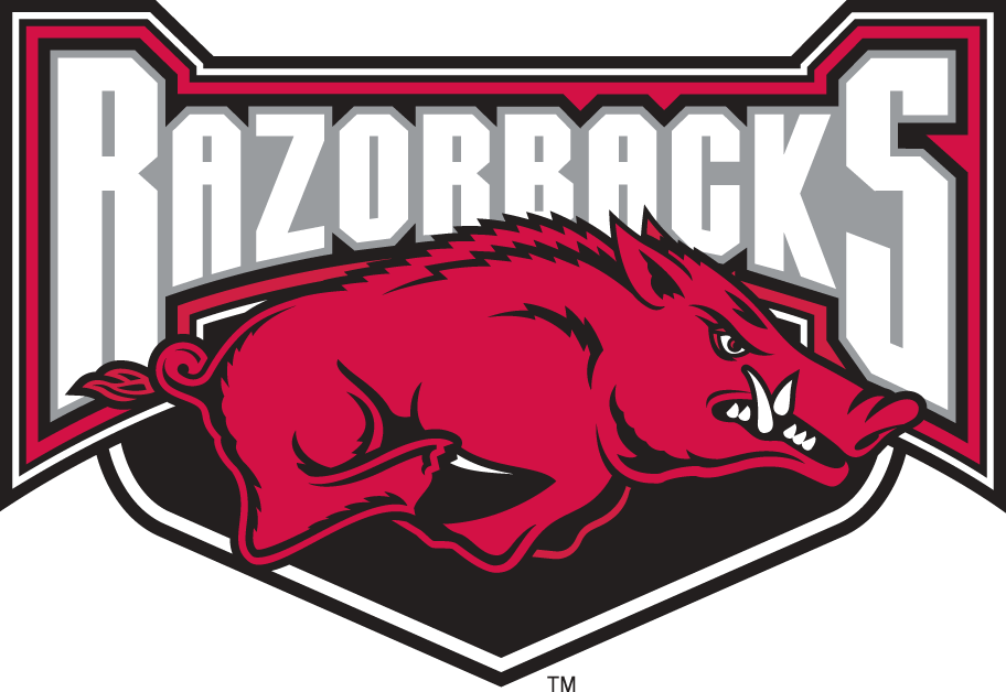 Arkansas Razorbacks 2001-2008 Alternate Logo v2 diy iron on heat transfer